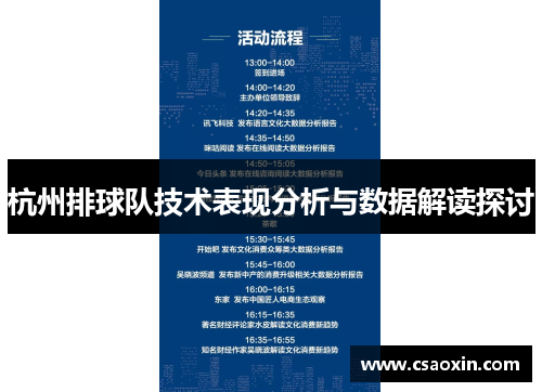 杭州排球队技术表现分析与数据解读探讨