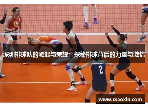 深圳排球队的崛起与荣耀：探秘排球背后的力量与激情