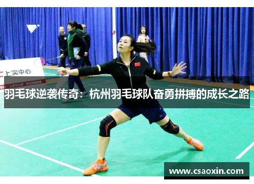 羽毛球逆袭传奇：杭州羽毛球队奋勇拼搏的成长之路