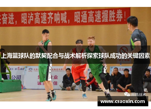 上海篮球队的默契配合与战术解析探索球队成功的关键因素