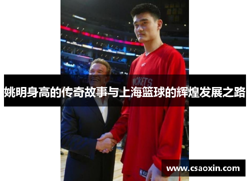 姚明身高的传奇故事与上海篮球的辉煌发展之路
