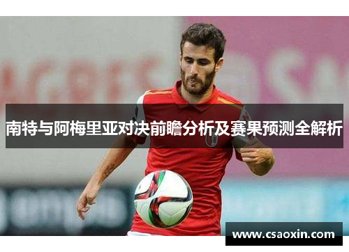 南特与阿梅里亚对决前瞻分析及赛果预测全解析