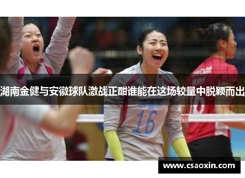 湖南金健与安徽球队激战正酣谁能在这场较量中脱颖而出