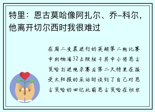 特里：恩古莫哈像阿扎尔、乔-科尔，他离开切尔西时我很难过